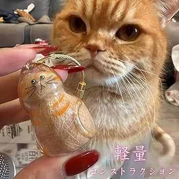 アクセサリー sabatora Amazon | 猫 犬 ペット毛 保存ボトル キーホルダー 透明 携帯用